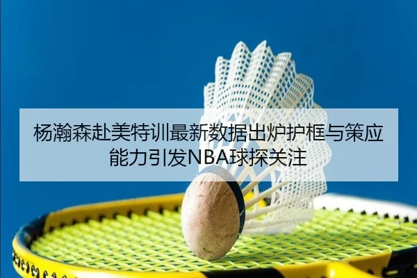 杨瀚森赴美特训最新数据出炉护框与策应能力引发NBA球探关注